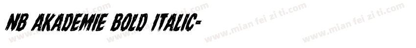 NB Akademie Bold Italic字体转换
